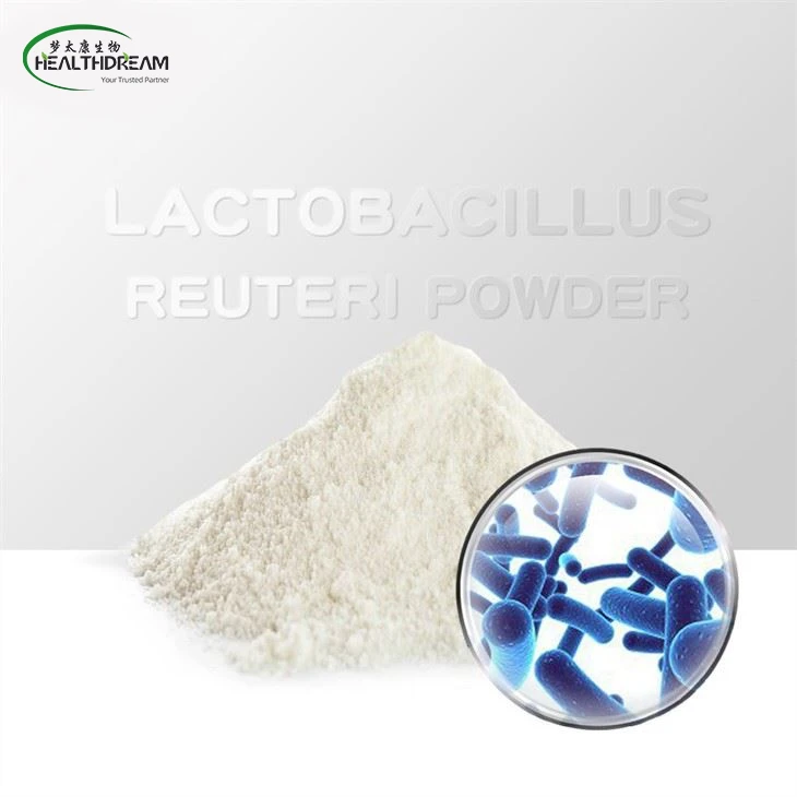 Lactobacillus reuteri pulbere