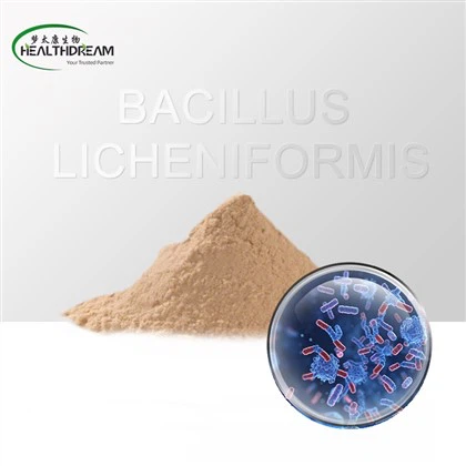 Bacilul Licheniformis